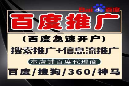 体育行业SEM服务的营销技巧与成功案例